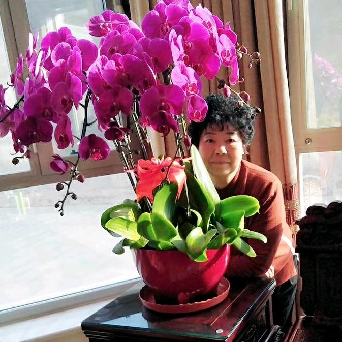 蔚蓝雅云
