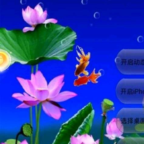 怡然似梦🇨🇳