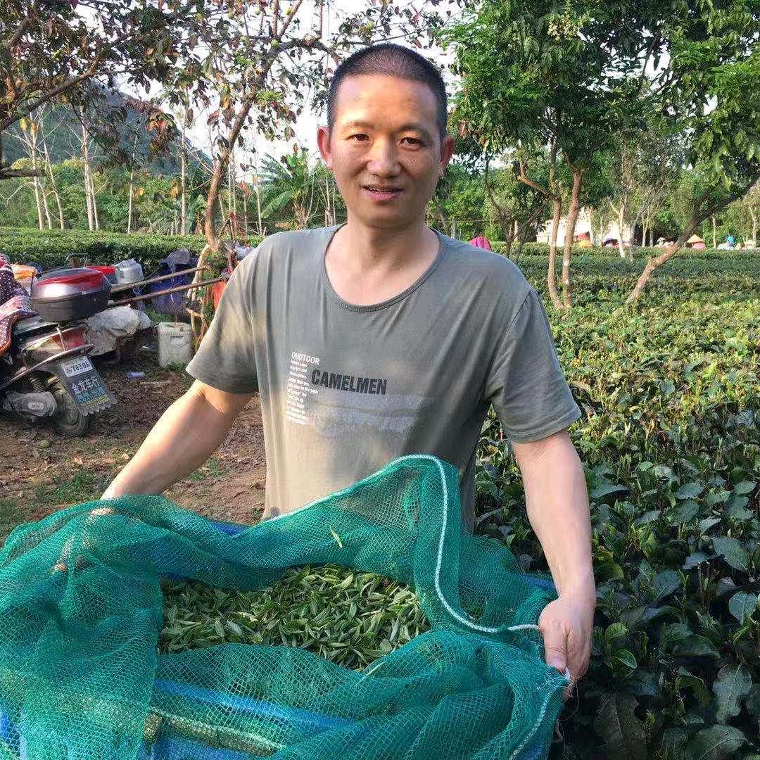 英德惊茗谷茶叶科技有限公司零售店