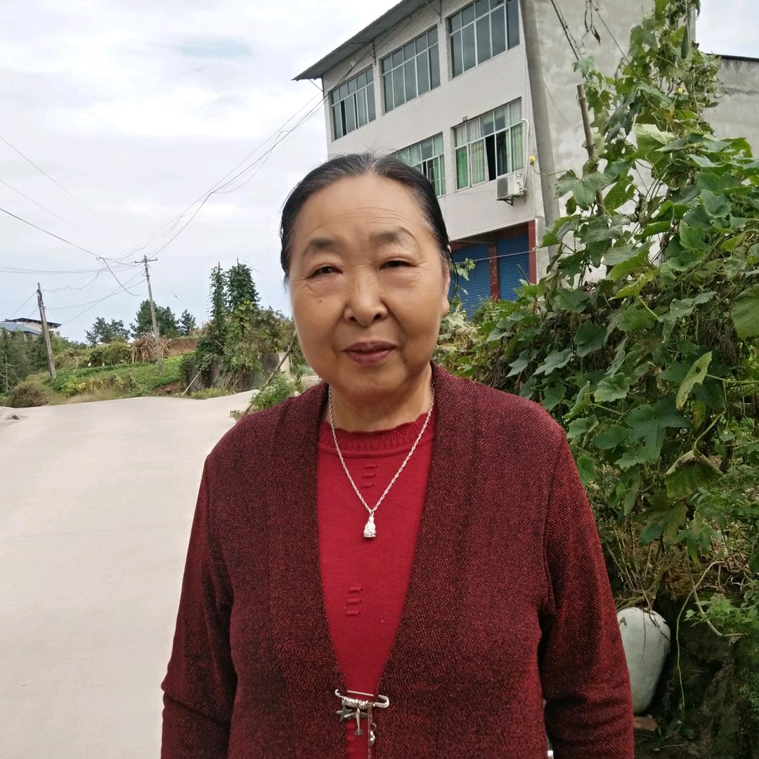 陈奶奶👵