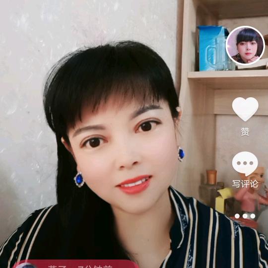 可爱的燕子