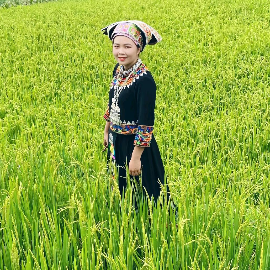 佳晟麻麻  ⁶⁶¹