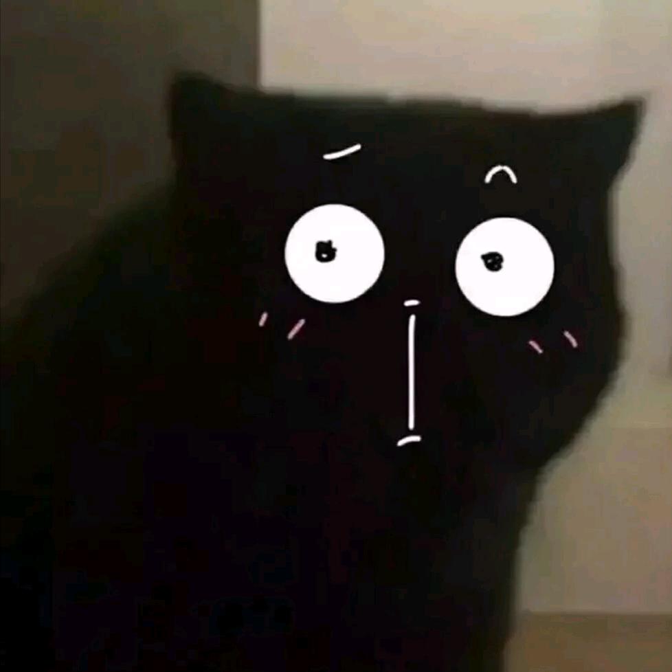 O不是毛毛