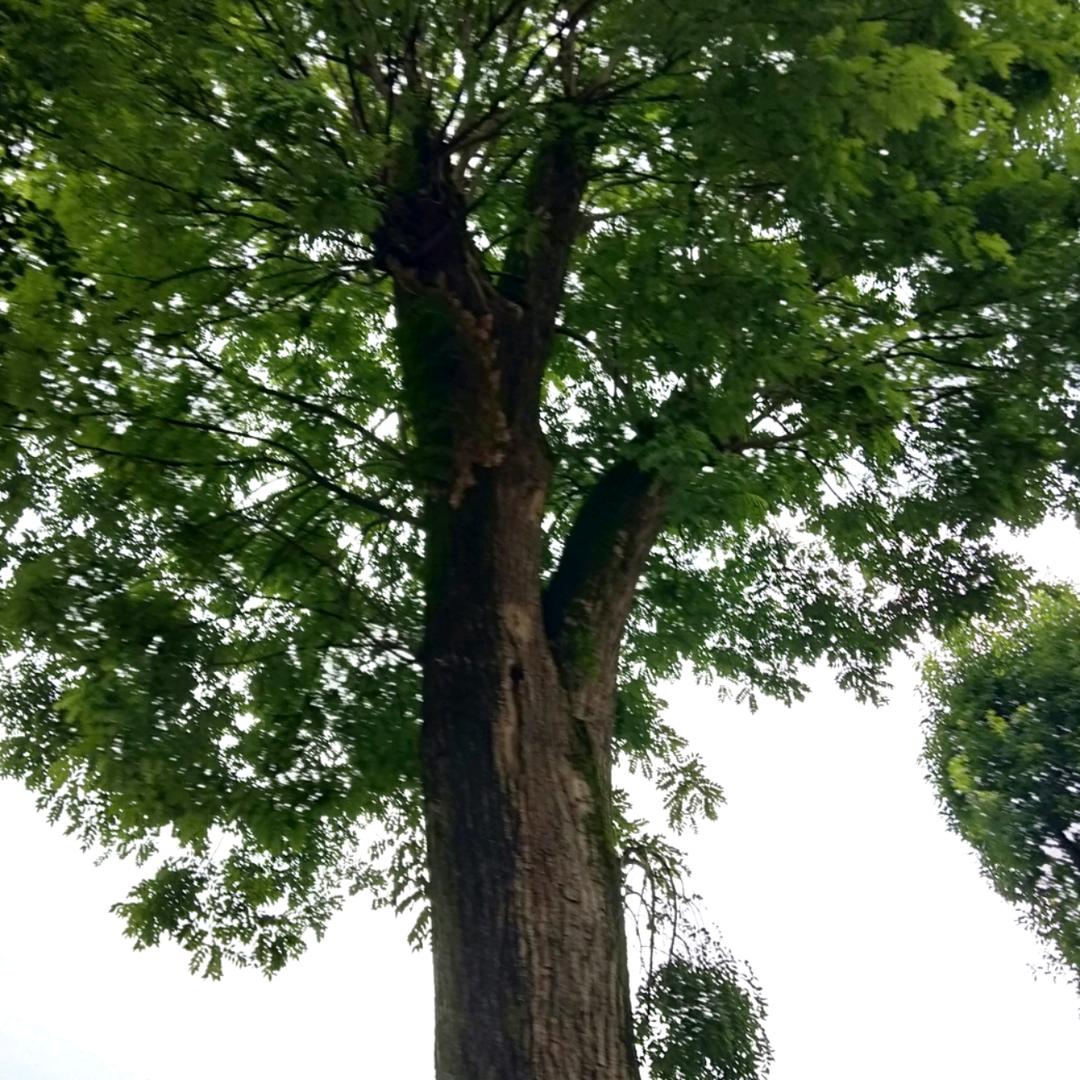 单亲爸爸😄😄🌸