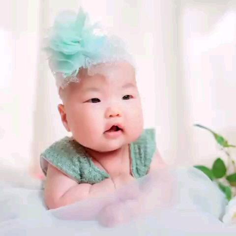 帝皇发哥