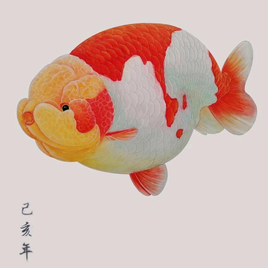 🌈🌈王哥装修爱养鱼