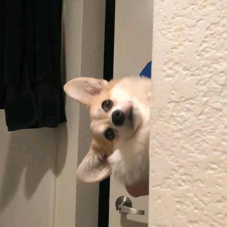 炫悦