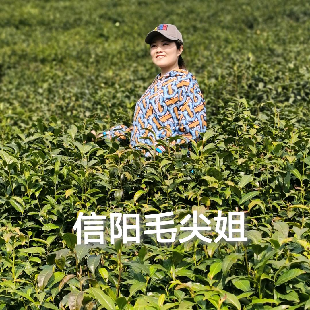 信阳好物