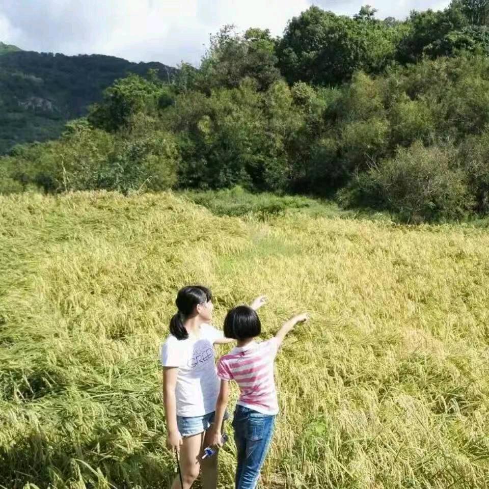 贝壳
