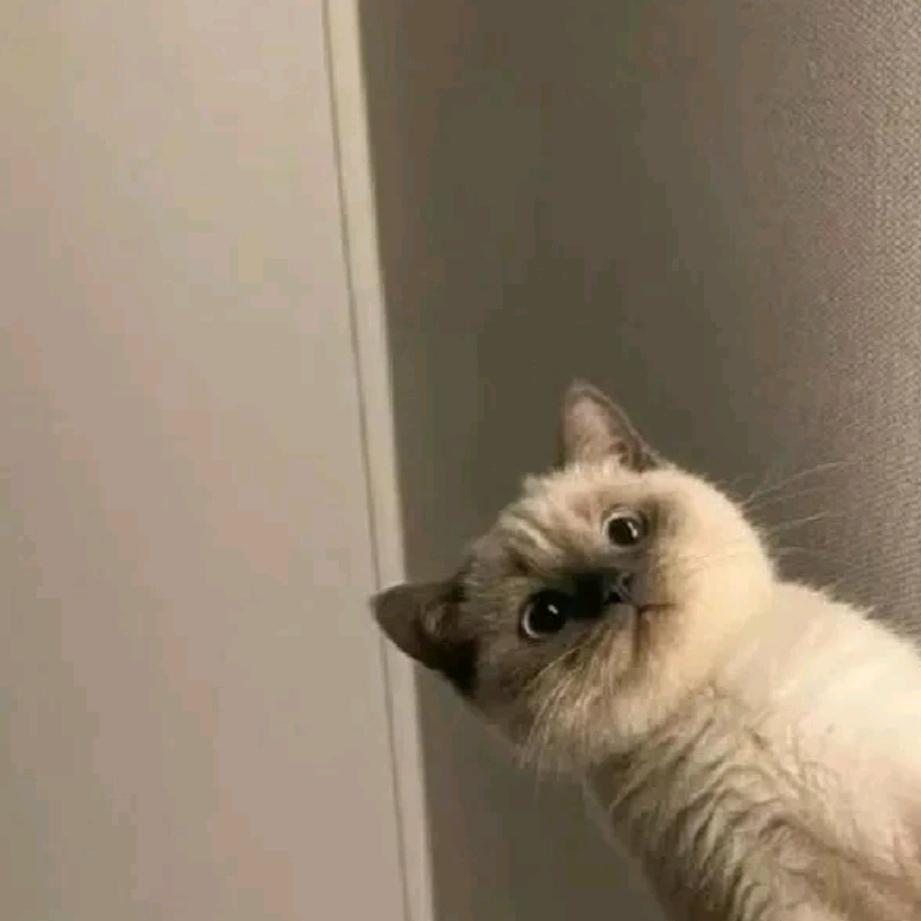 ｀