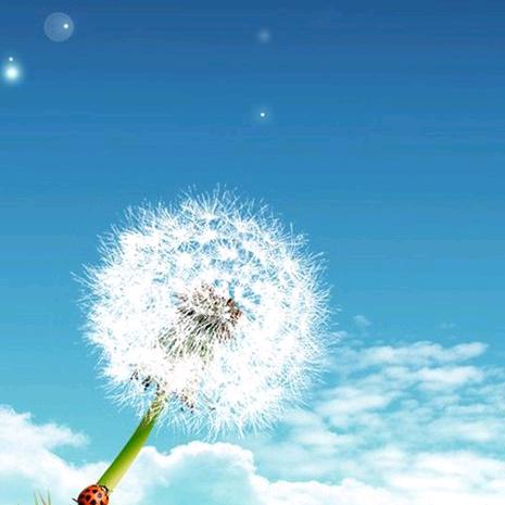 江畔说影视@抖音