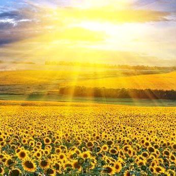 厚德家居馆 商德卷布艺店