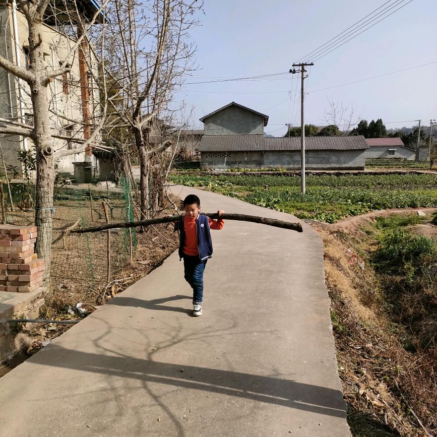 金刚葫芦娃-骆师家电