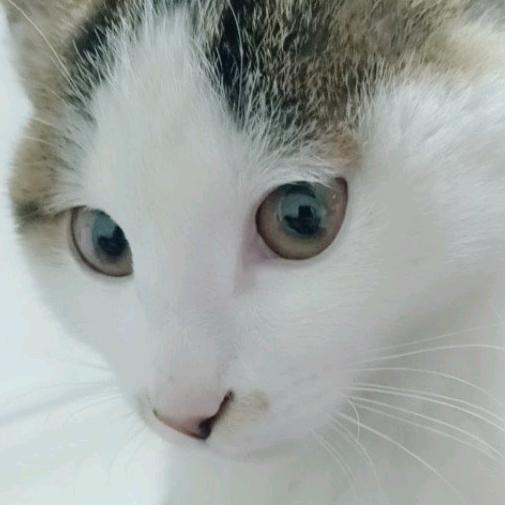 阿成用户1337684724720