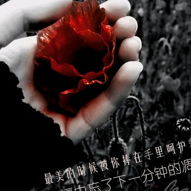 浅,回忆…《拒私聊》