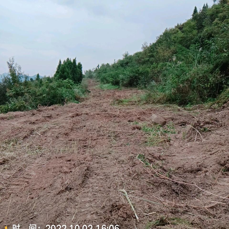仪陇县玉华种养殖家庭农场承接坝坝宴席