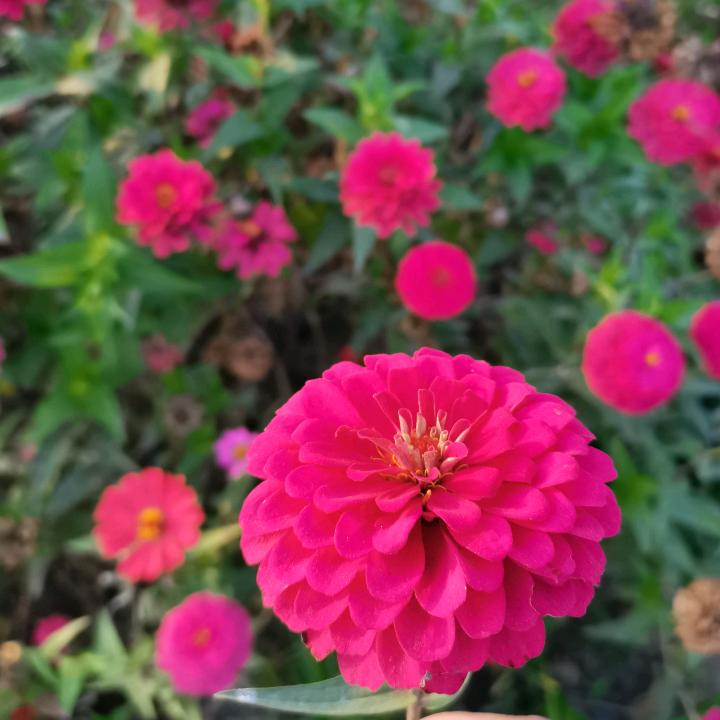 珍爱我家