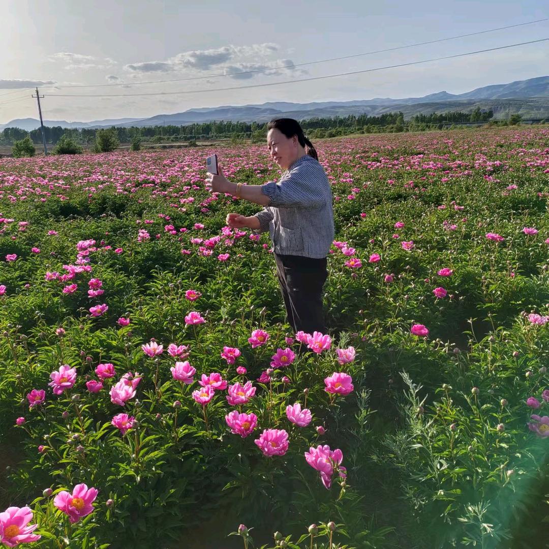 老五 家纺