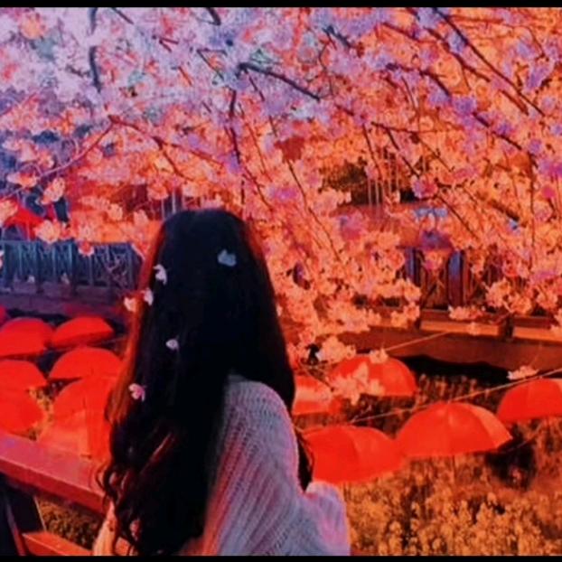 笑靥荼靡