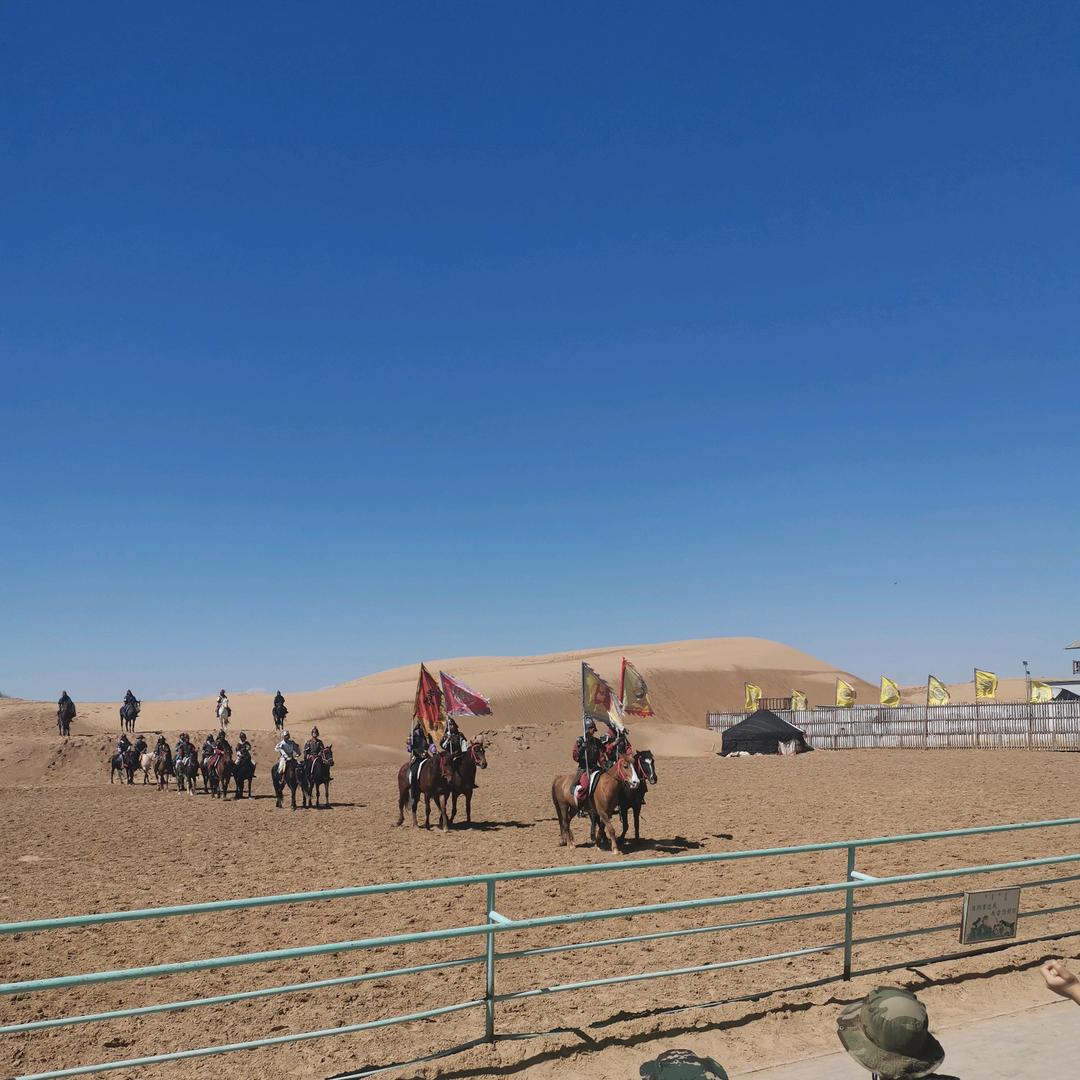 田田【好物分享】