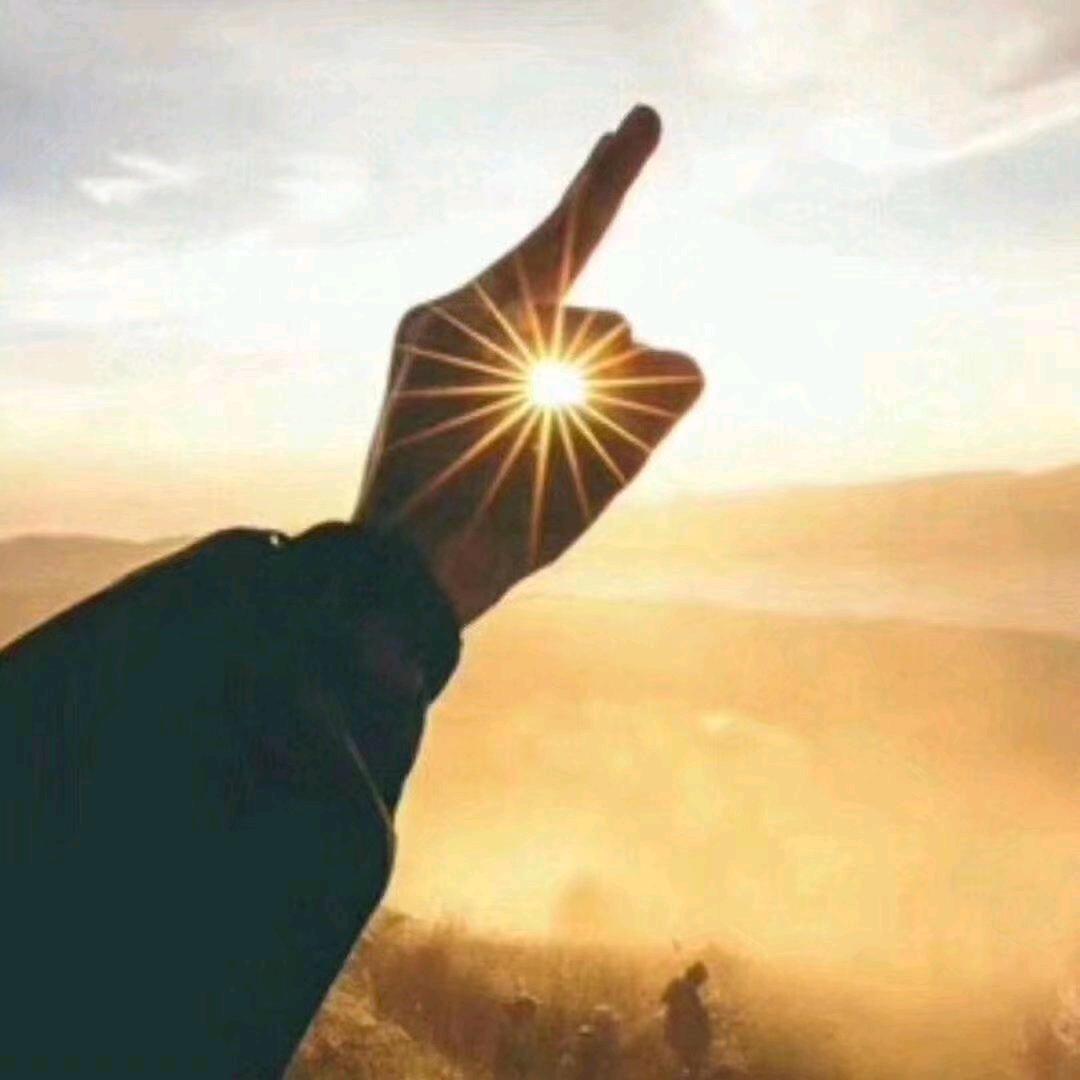 🏹风雨人生路🦩️