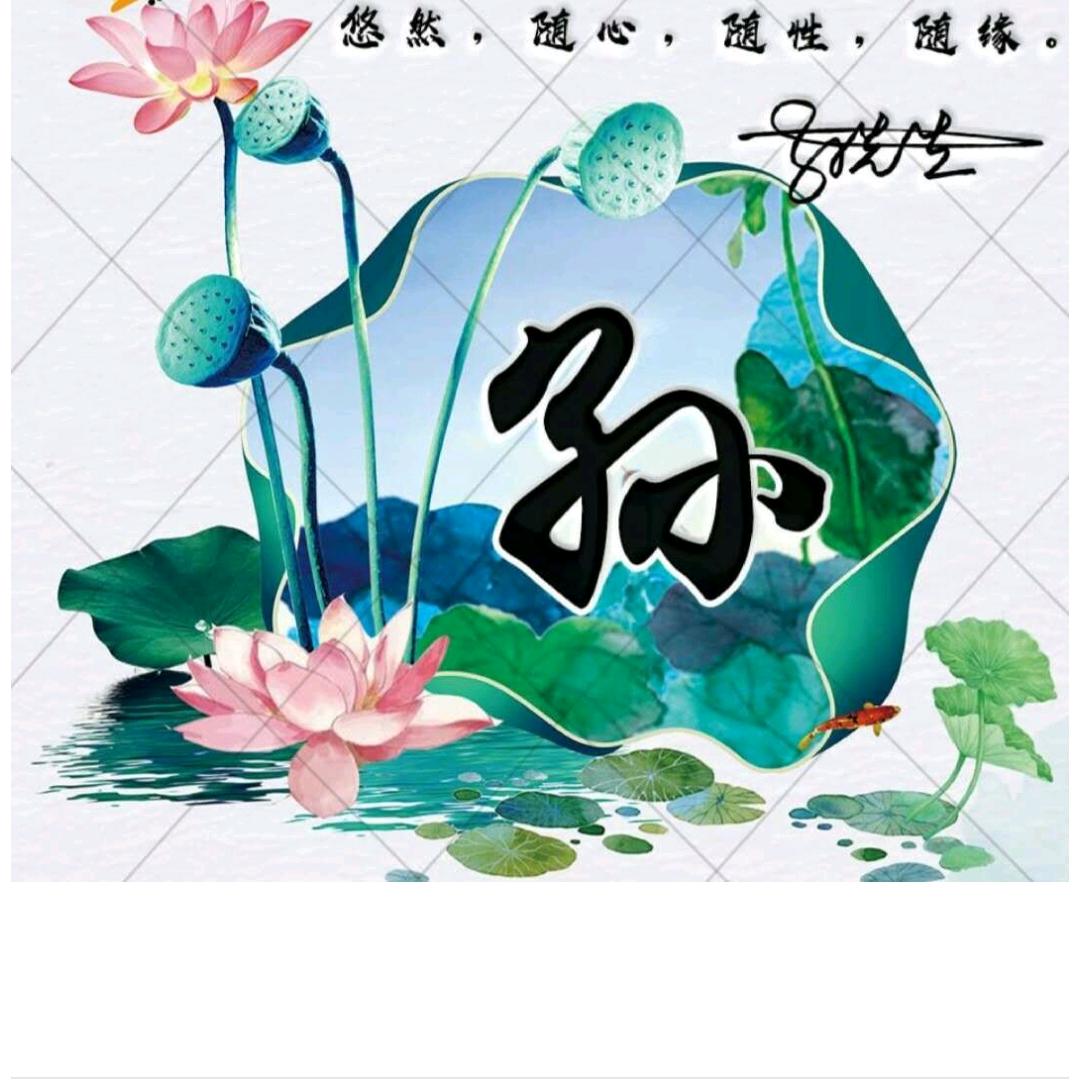 荷之韵