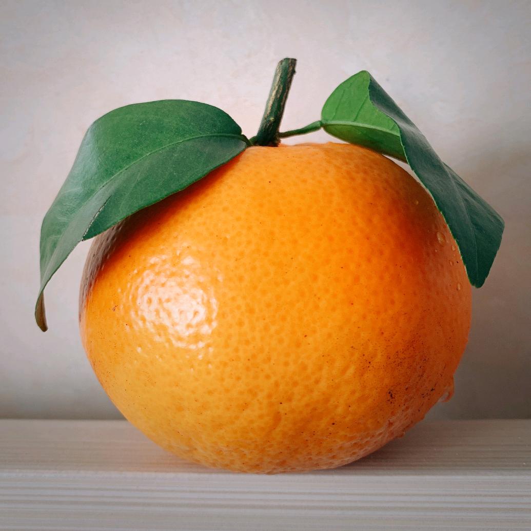 大瑞至简日记🍀🍎