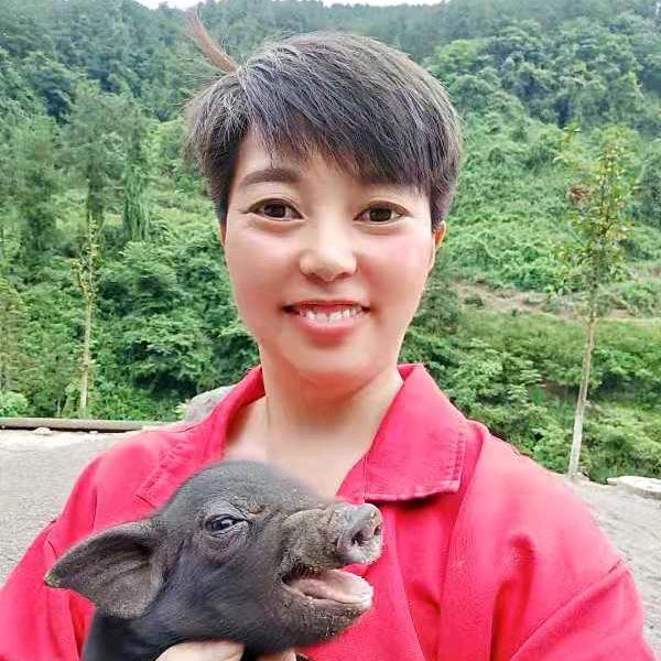 金凤生态养殖
