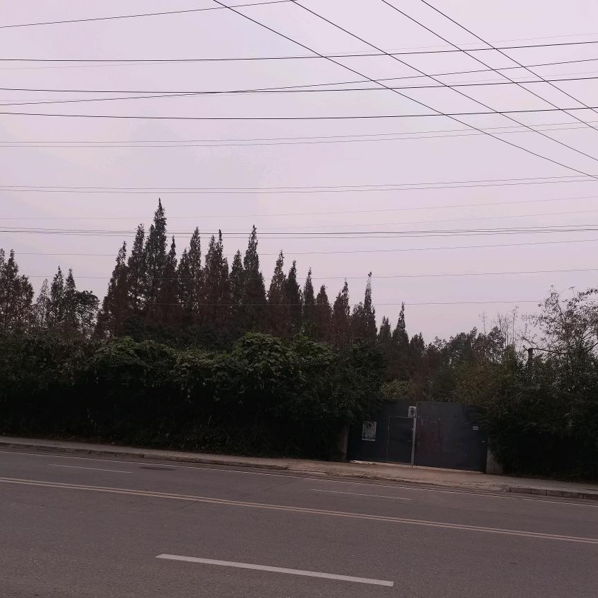 辉