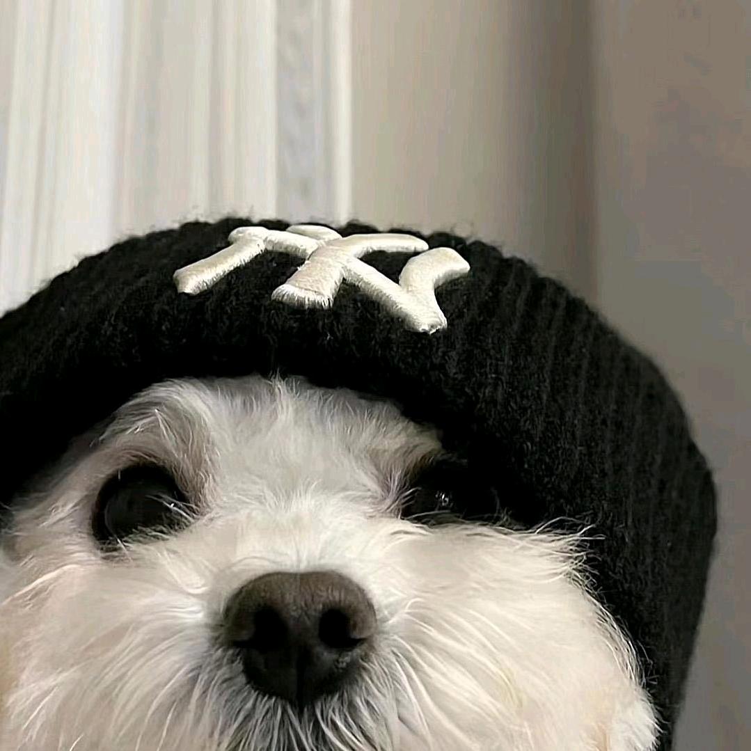 性感的汤姆猫(苦学摄影版)