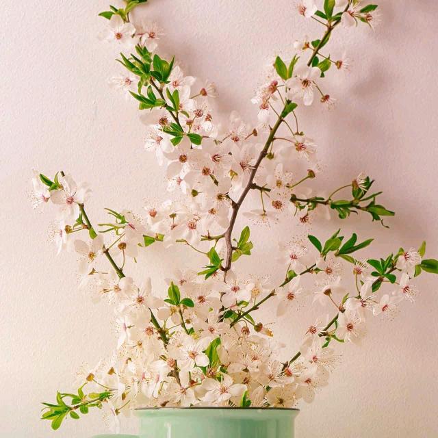 用户@好5802438842189