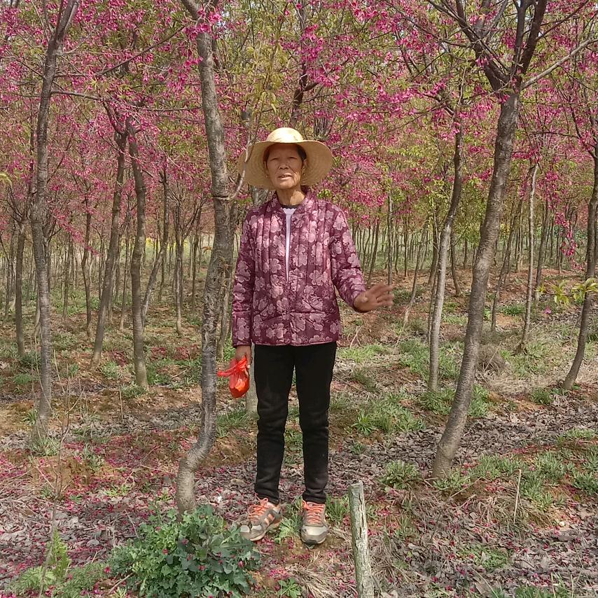 老魏