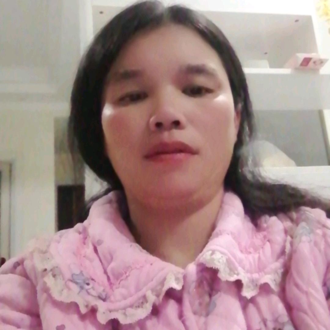 🌻燕子🍀🍀🍀