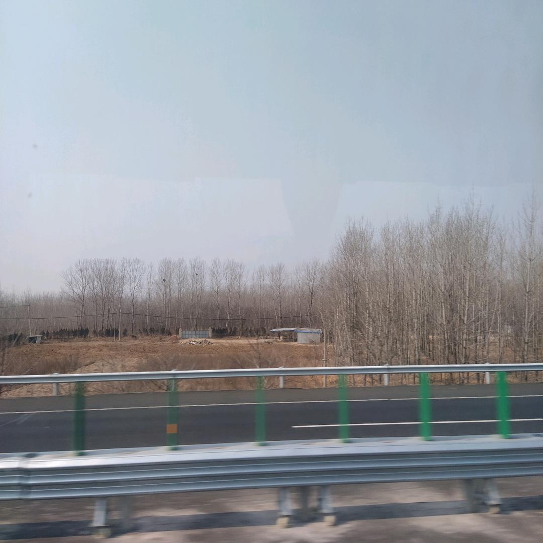 成了