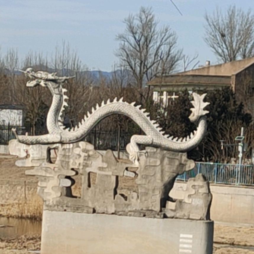 乔可力(万卷书单)