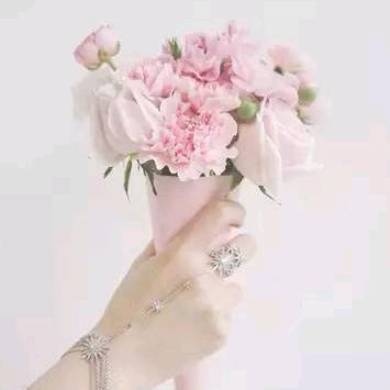 一花🌸一草🌿一世界