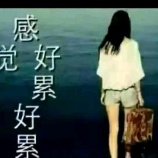 伤心太平洋