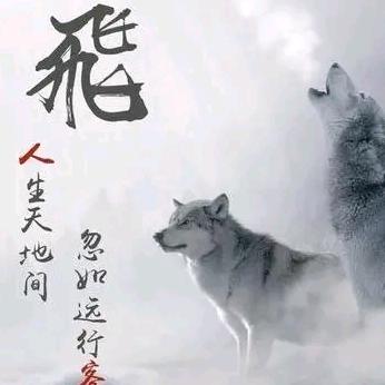 @追梦人