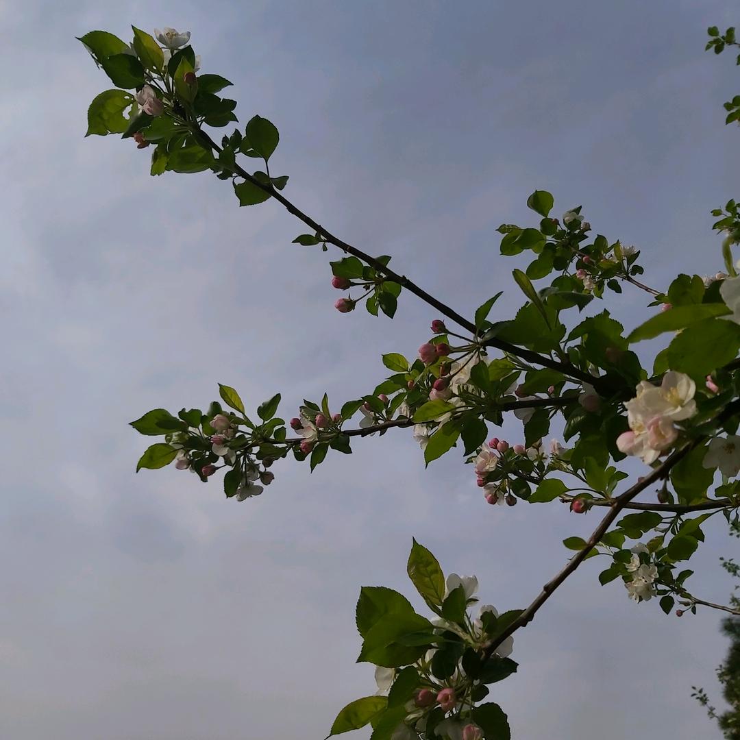 阳光陈
