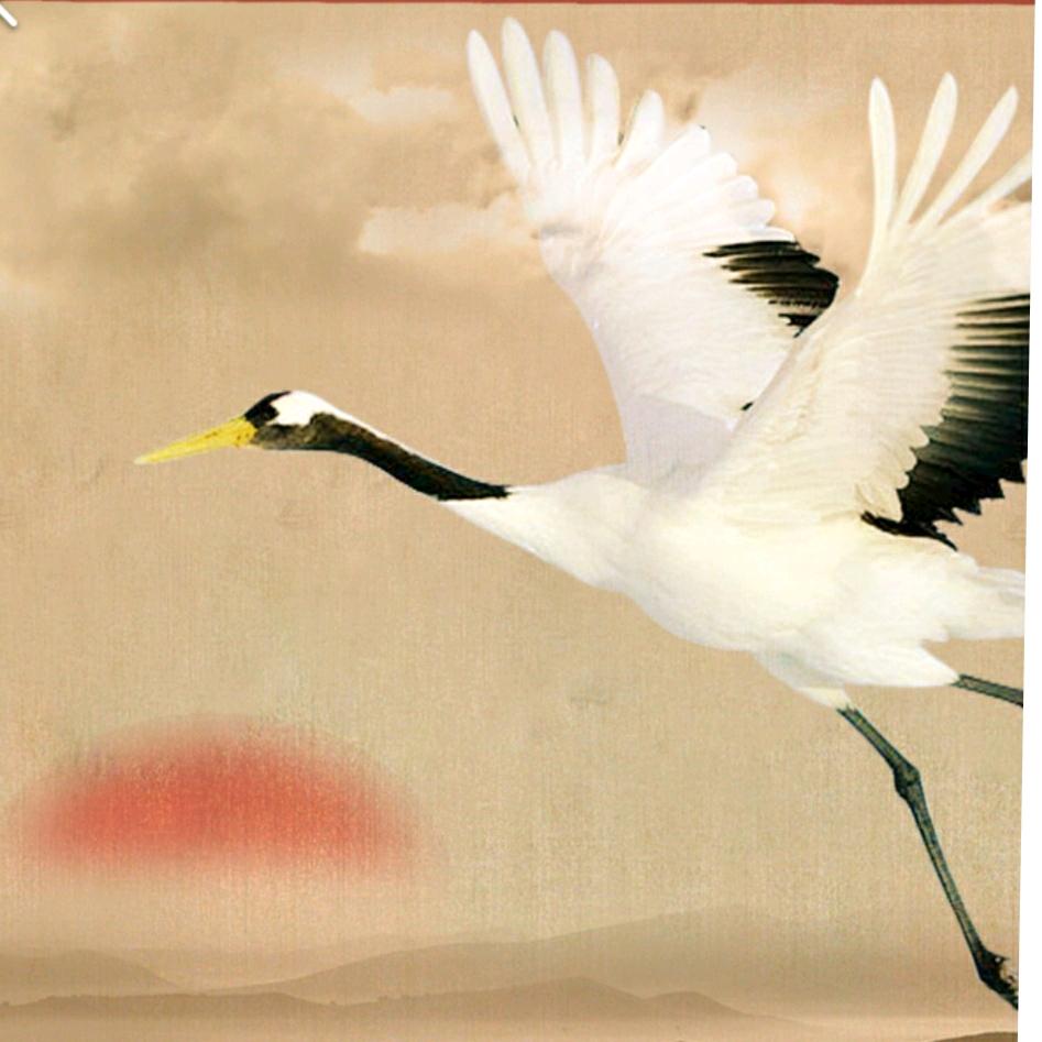 九天一鹤