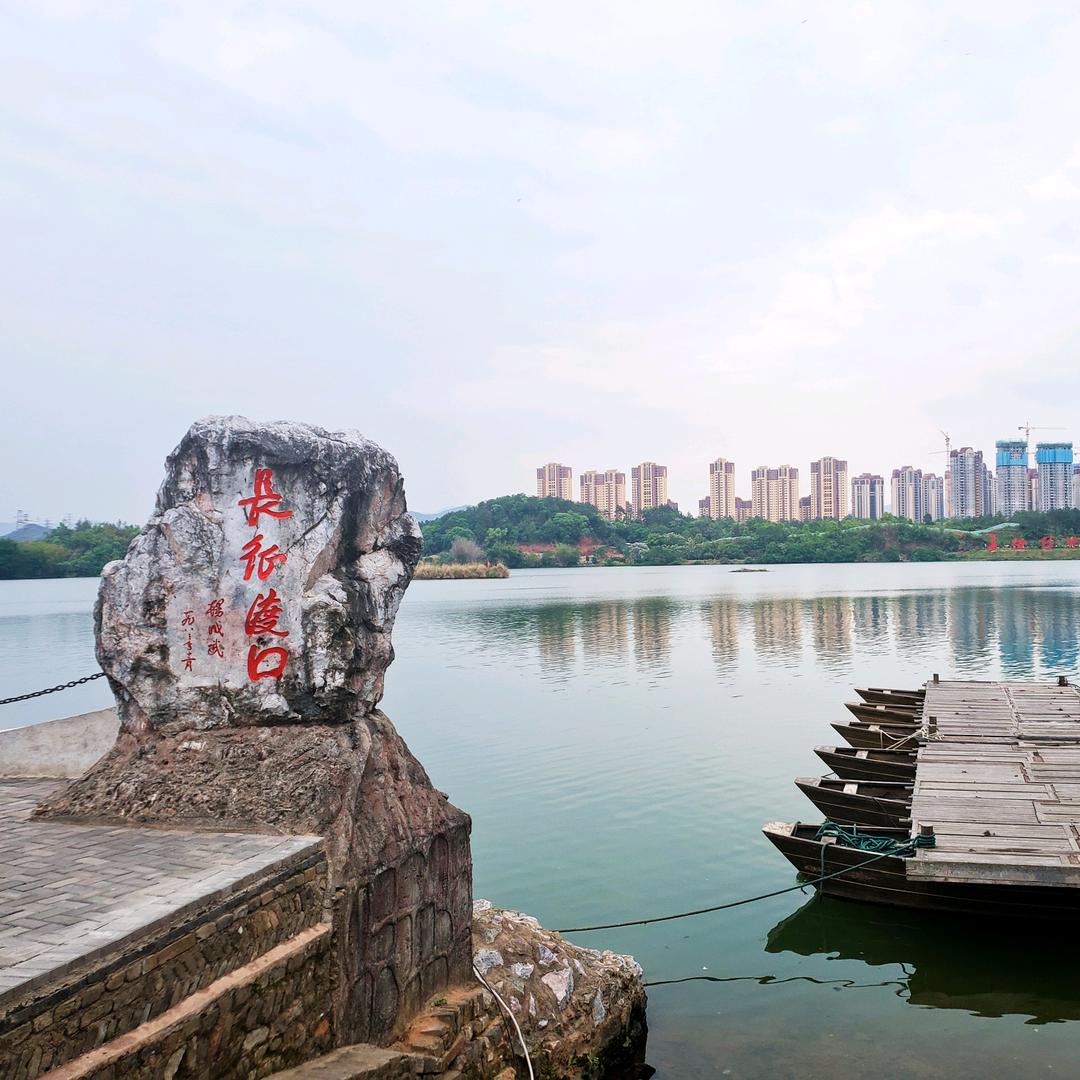 小涛