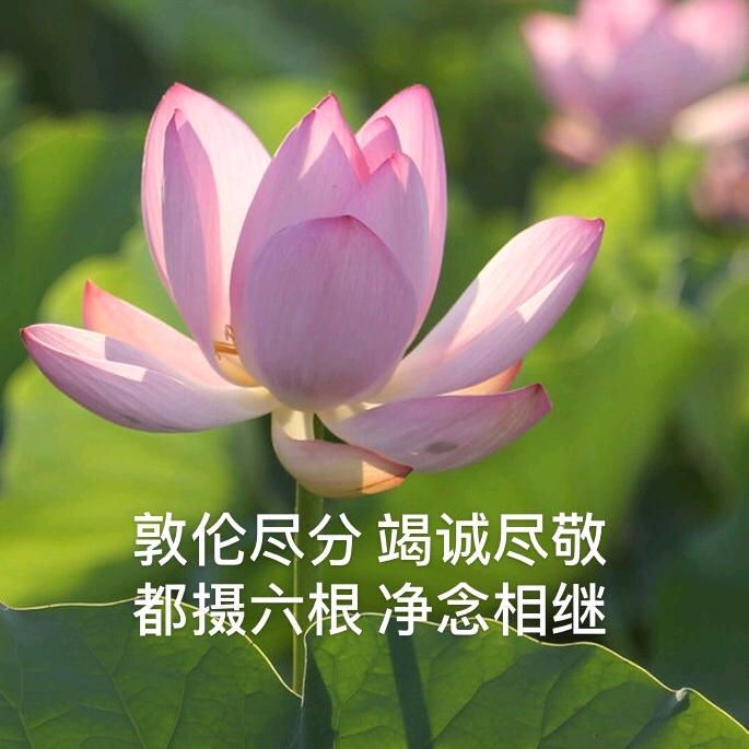 啊宝66