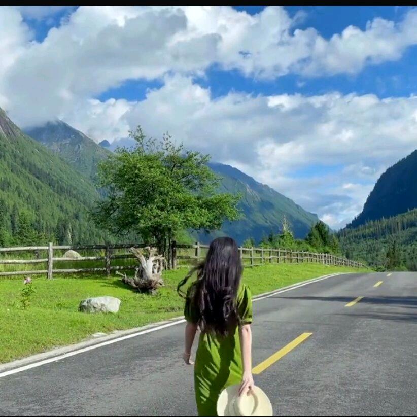 晨晨来了