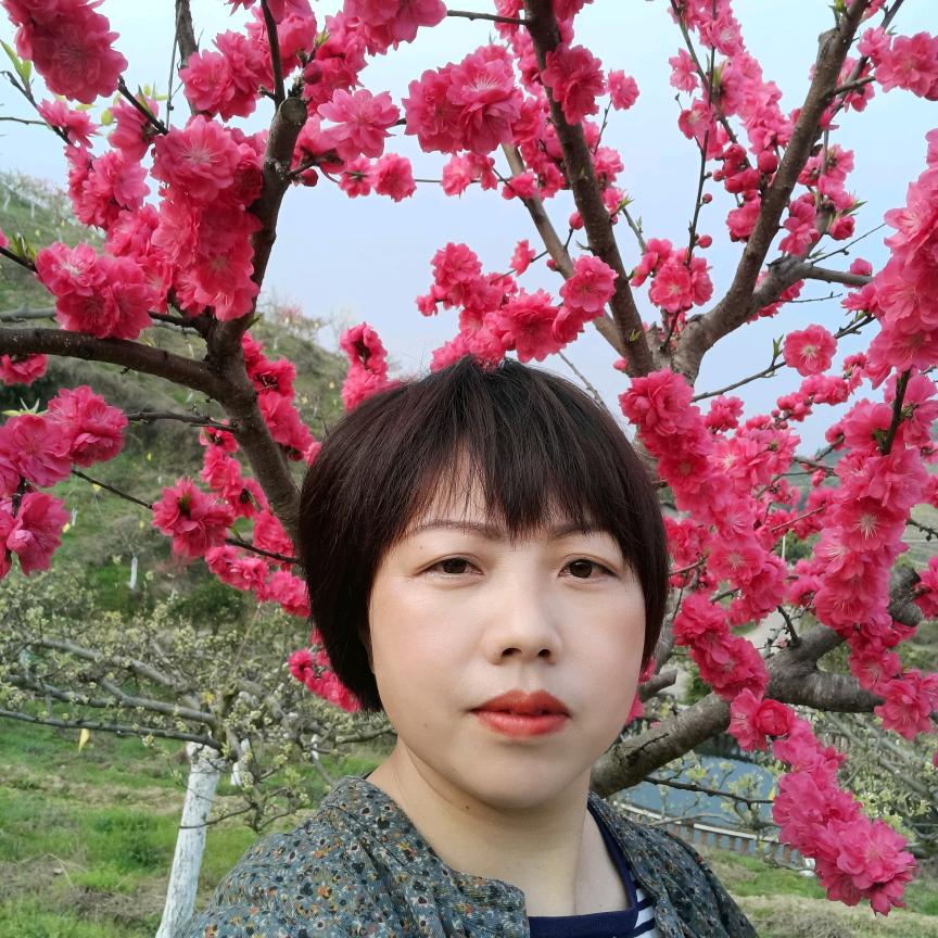 琼琼果园农场