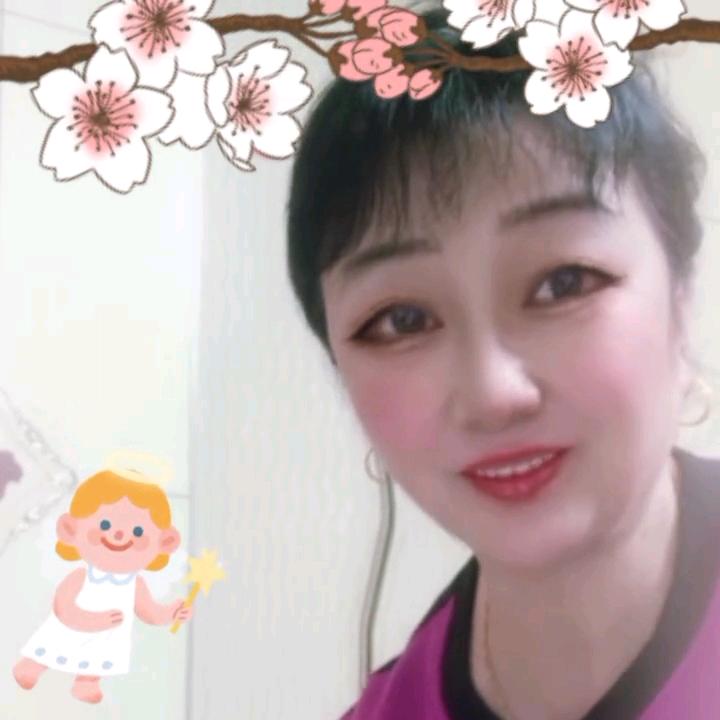 🌲云姐🌲