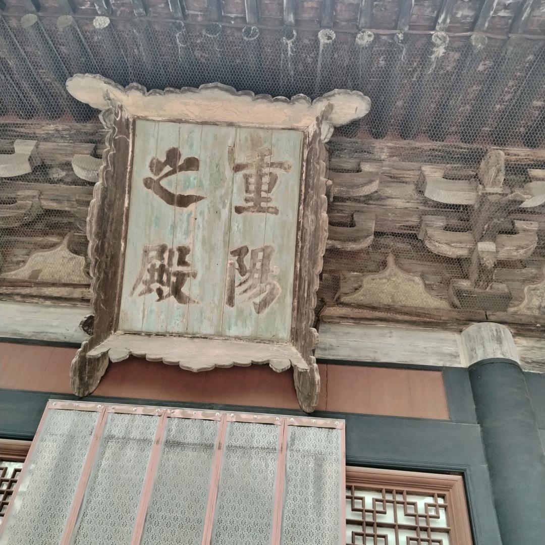 猪，我看的就是你