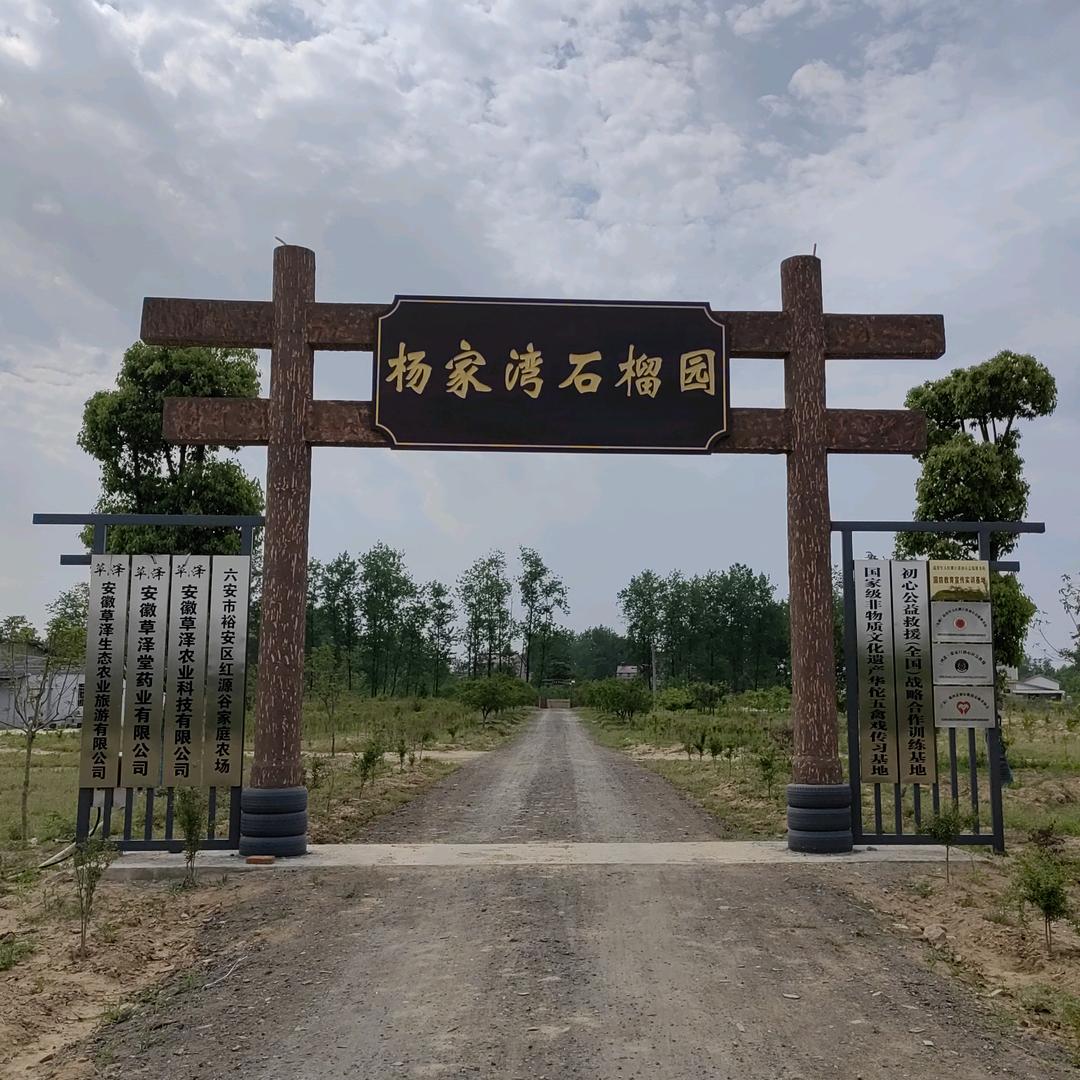 杨家湾石榴园