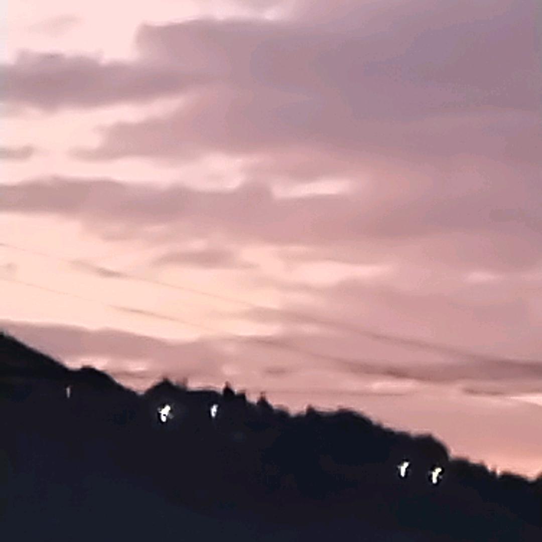 敏？？？？