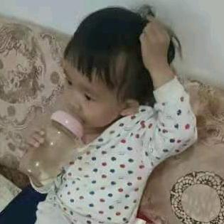 邹记茶花园