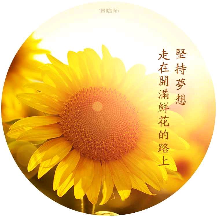 💫️风雨无阻✨️